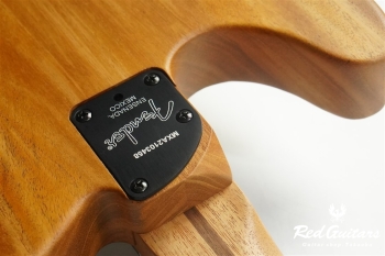 Acoustasonic Player Telecaster - Arctic White